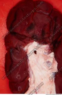 Photo Textures of RAW Pork Meat